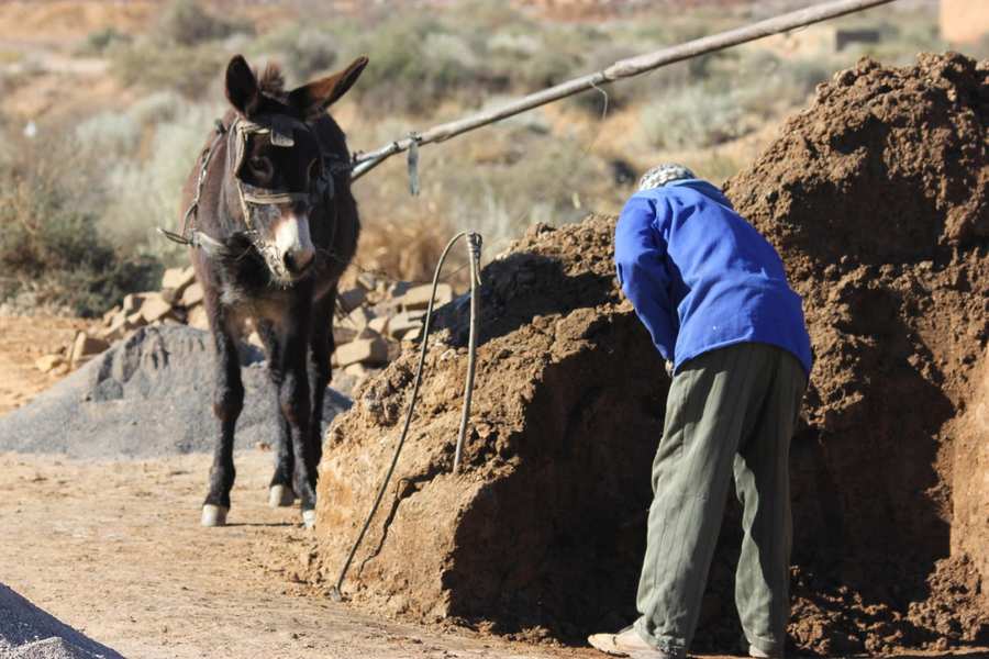 Rural farmworker with donkey