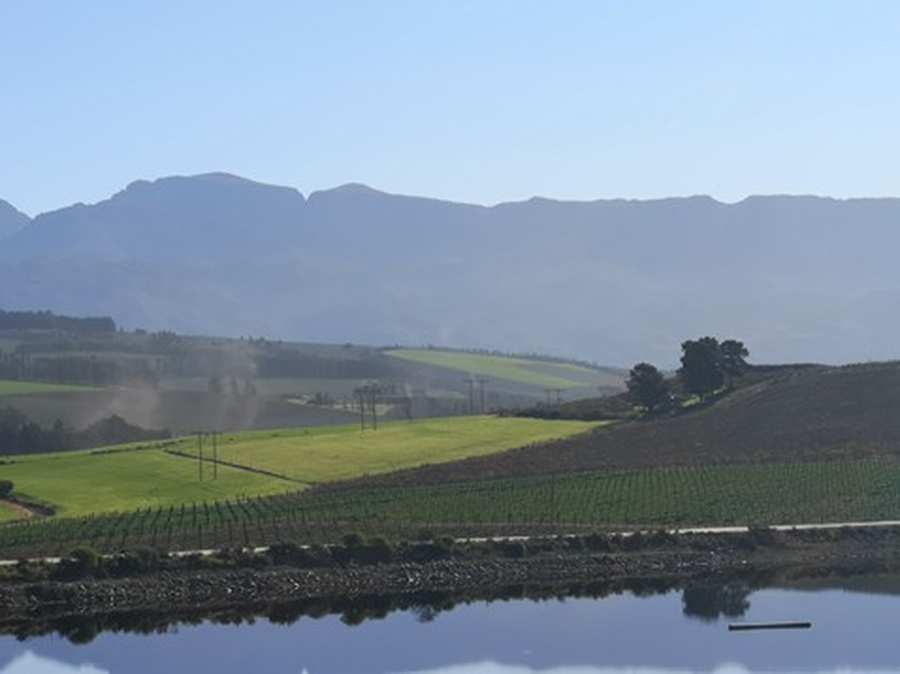 Farm landscape with dam, Western Cape