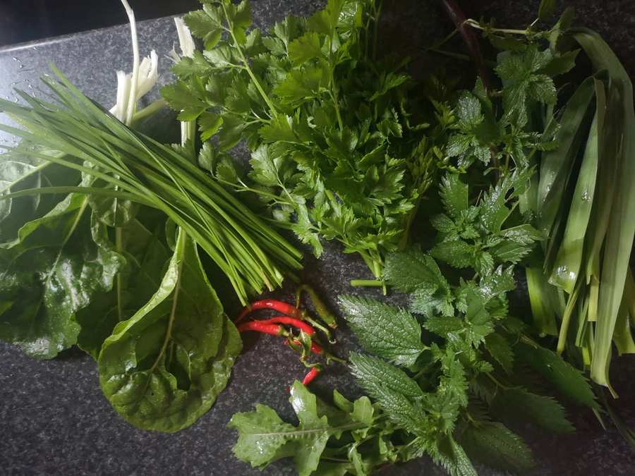 Fresh herbs from programme gardens