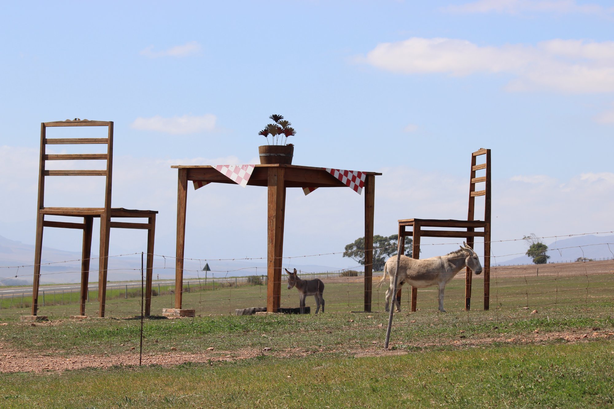 Roadside art installation with donkeys, Karoo