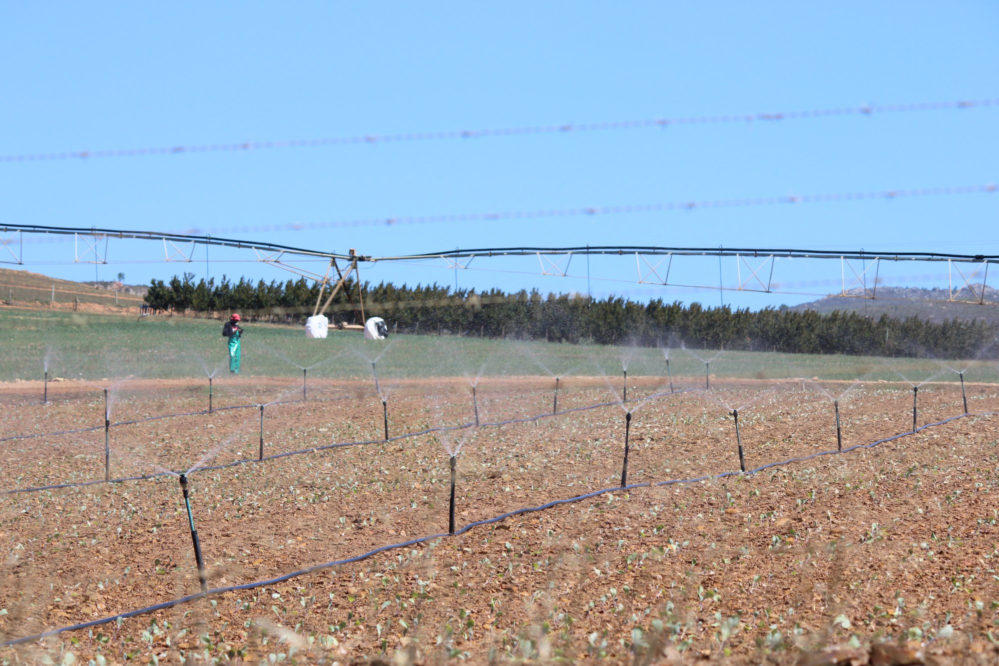 Centre pivot irrigation, Western Cape agriculture